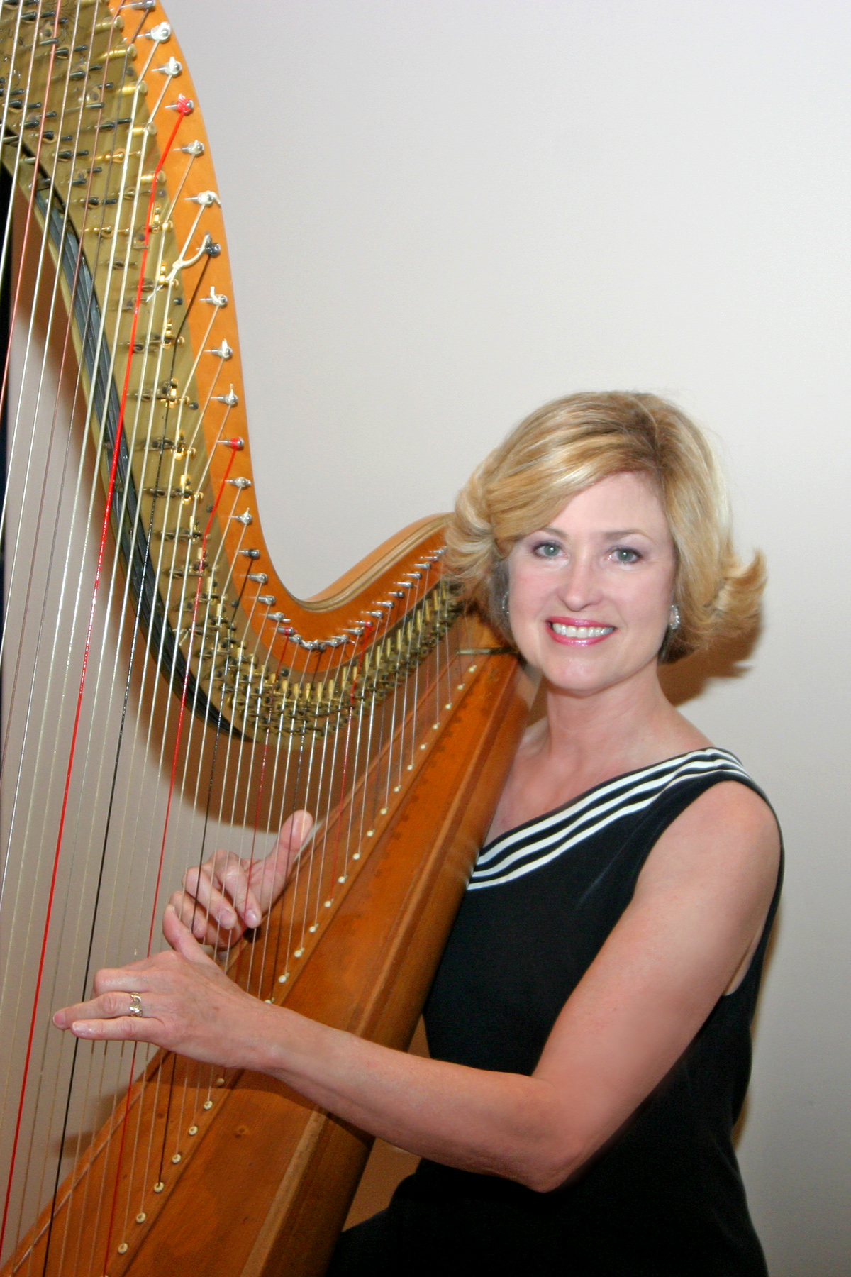 the harp houston