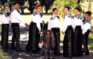 Denver Mariachi 1 pic 3.jpg