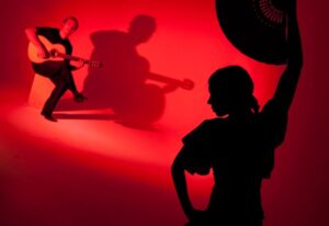 San Francisco Flamenco Guitarist 2.jpg