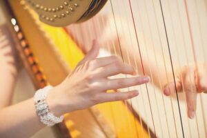 Toronto Harpist 1 pic 3.jpg